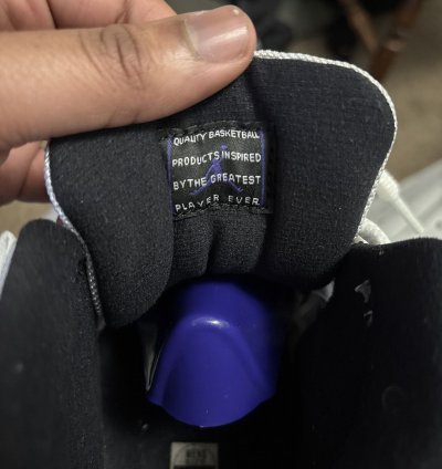 Air Jordan 11 Concords 2018