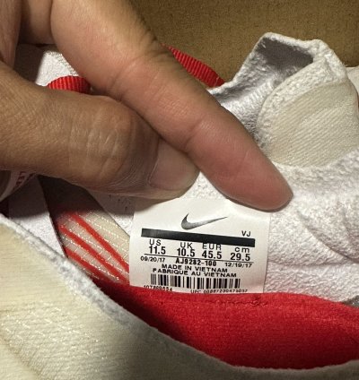Zoom Fly Sp Tokyo Sz 11 5