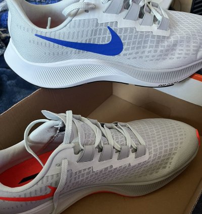 Zoom Pegasus 37