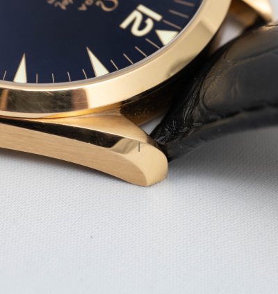 Omega Seamaster Railmaster Xxl