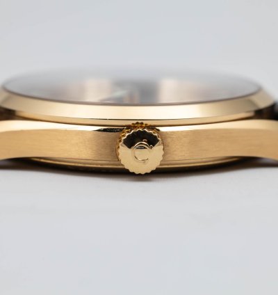Omega Seamaster Railmaster Xxl