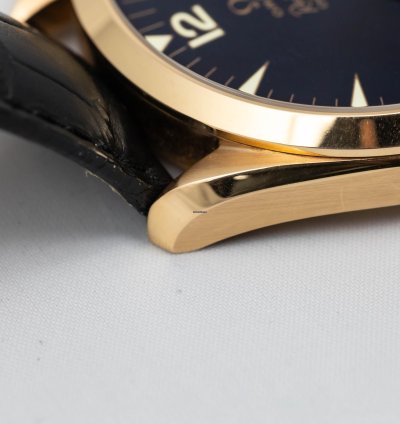 Omega Seamaster Railmaster Xxl