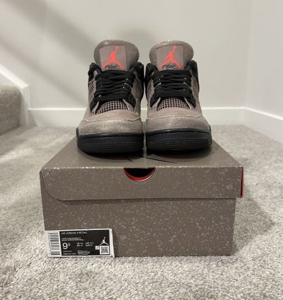 Air Jordan 4 Retro Taupe Haze 2021