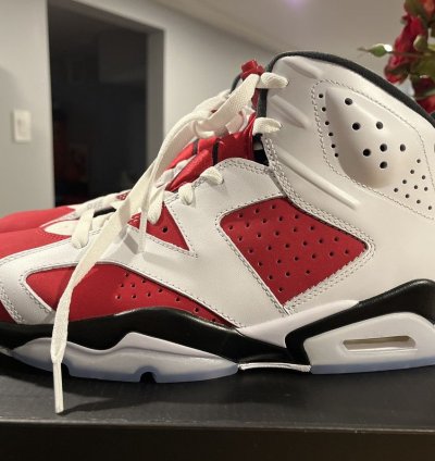Air Jordan 6 Carmine