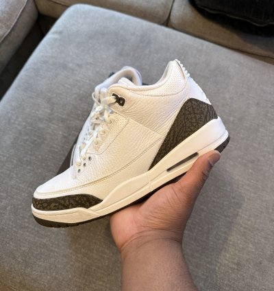 Air Jordan Retro 3 Mocha 2018