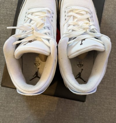 Air Jordan Retro 3 Mocha 2018