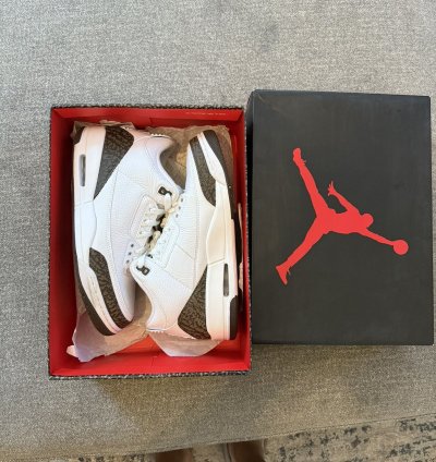 Air Jordan Retro 3 Mocha 2018