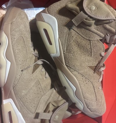 Air Jordan Travis Scott 6s