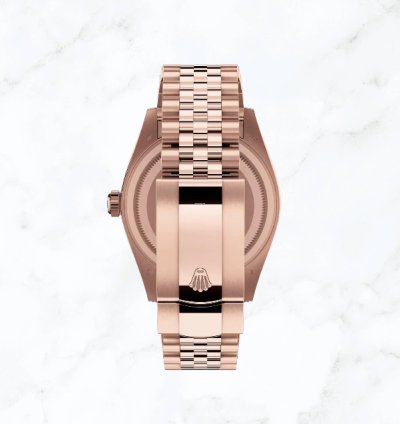 Rolex Sky-dweller Everose Gold Brown Dial 336935 new Unworn