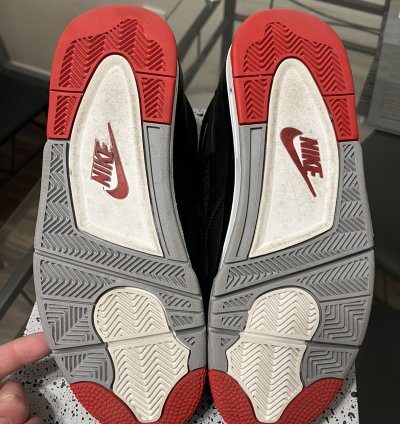 Bred Reimagined 2024