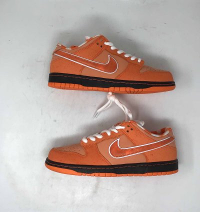 Concepts Dunk Low Sb Orange Lobster Special Box