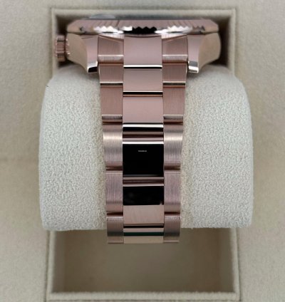 Rolex Sky-dweller New 2025 Sky-dweller 42mm 336935 Rose Gold Blue Dial