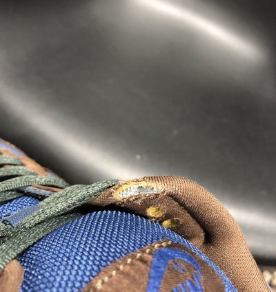 Dunk Low Pro Sb Barf 2003