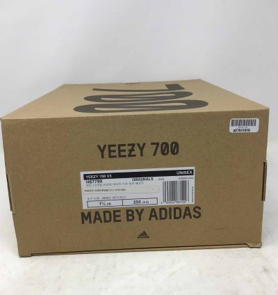 Yeezy 700 V3 Alvah
