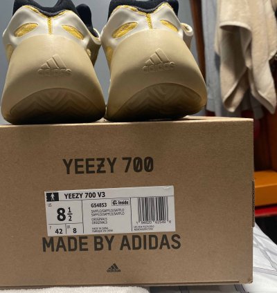 Yeezy 700 V3 Safflower