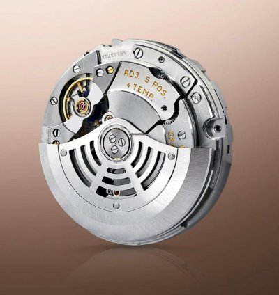 Rolex Sky-dweller Rose Gold Chocolate Dial Sky Dweller Index Dial