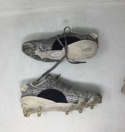 Yeezy 350 Cleat Turtle Dove