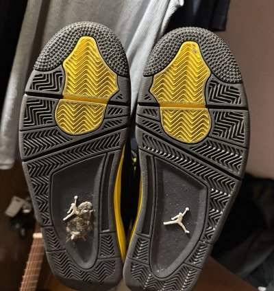 Jordan 4 Thunder