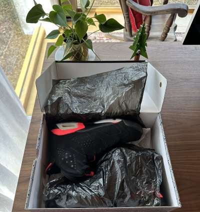 Jordan 6 Infrared