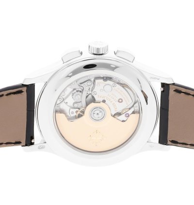 Patek Philippe Annual Calendar Chronograph Complications Annual Calendar Chronograph 5905p-010