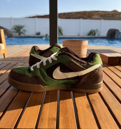 New Nike Paul Rodriguez 2 Zoom Air Shoes Size 10