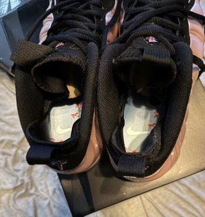 Nike Air Foamposite One Dmv Cherry Blossom
