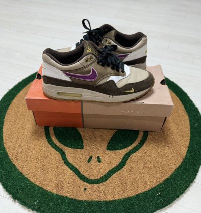 Nike Air Max 1 Viotech