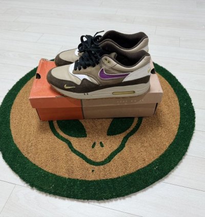 Nike Air Max 1 Viotech