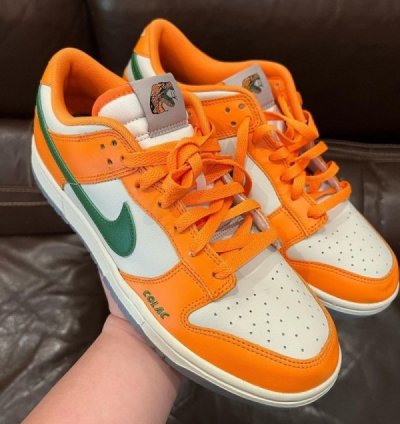 Famu X Nik E Dunk Low Florida A M Sneakers