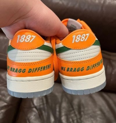 Famu X Nik E Dunk Low Florida A M Sneakers