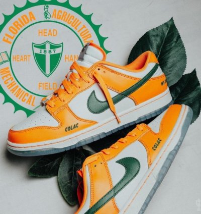 Famu X Nik E Dunk Low Florida A M Sneakers