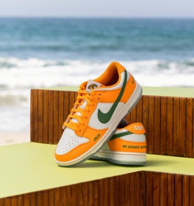 Famu X Nik E Dunk Low Florida A M Sneakers