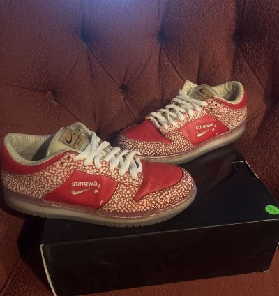 Stingwater Magic Mushroom Sb Dunk Low