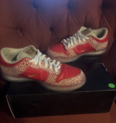 Stingwater Magic Mushroom Sb Dunk Low