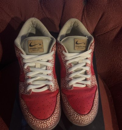 Stingwater Magic Mushroom Sb Dunk Low