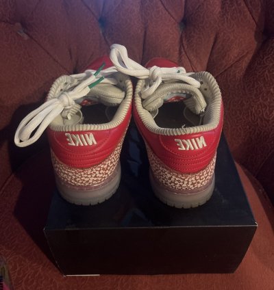 Stingwater Magic Mushroom Sb Dunk Low