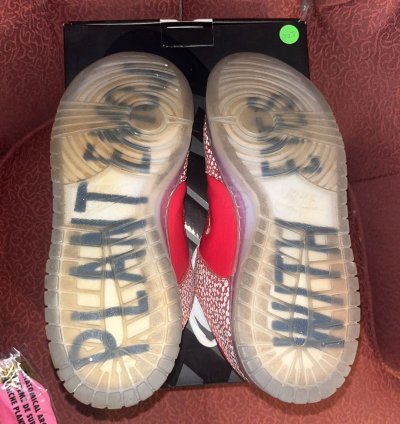 Stingwater Magic Mushroom Sb Dunk Low