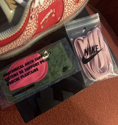 Stingwater Magic Mushroom Sb Dunk Low