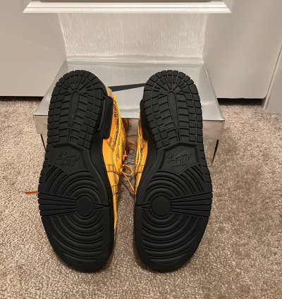 Nike Air Rubber Dunk