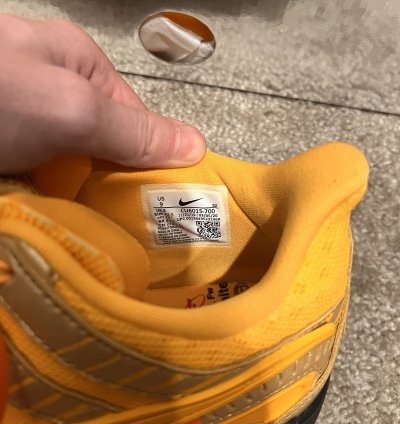 Nike Air Rubber Dunk