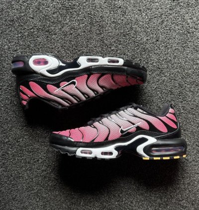 Sunset Pulse 2024 Nike Air Max Plus Tn