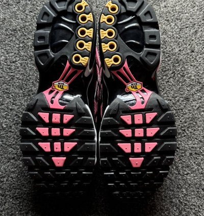 Sunset Pulse 2024 Nike Air Max Plus Tn