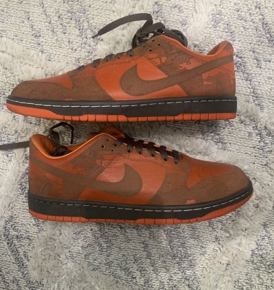 Super Rare Nike Dunk Low 1 Piece