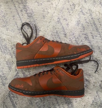 Super Rare Nike Dunk Low 1 Piece