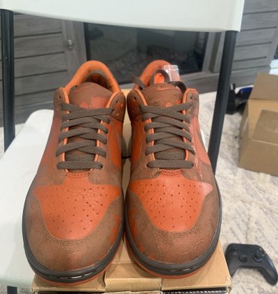 Super Rare Nike Dunk Low 1 Piece