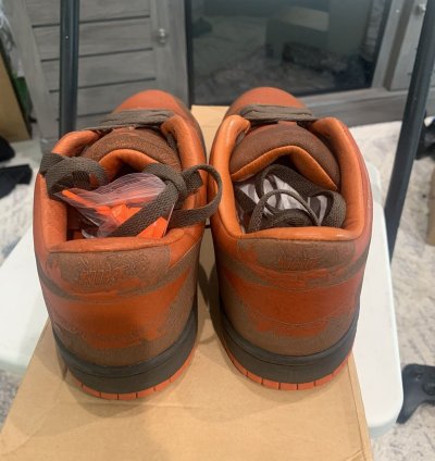 Super Rare Nike Dunk Low 1 Piece