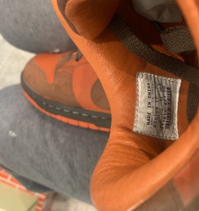 Super Rare Nike Dunk Low 1 Piece