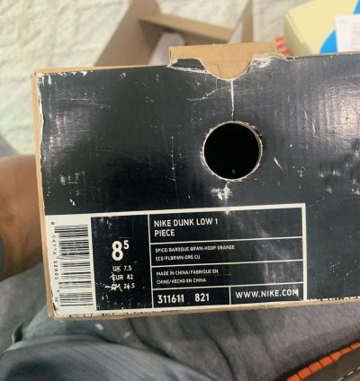 Super Rare Nike Dunk Low 1 Piece