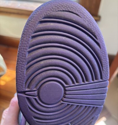 Nike Dunk Low Pro Sb Purple Pigeon 2006