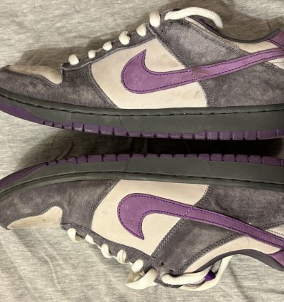 Nike Dunk Low Pro Sb Purple Pigeon 2006